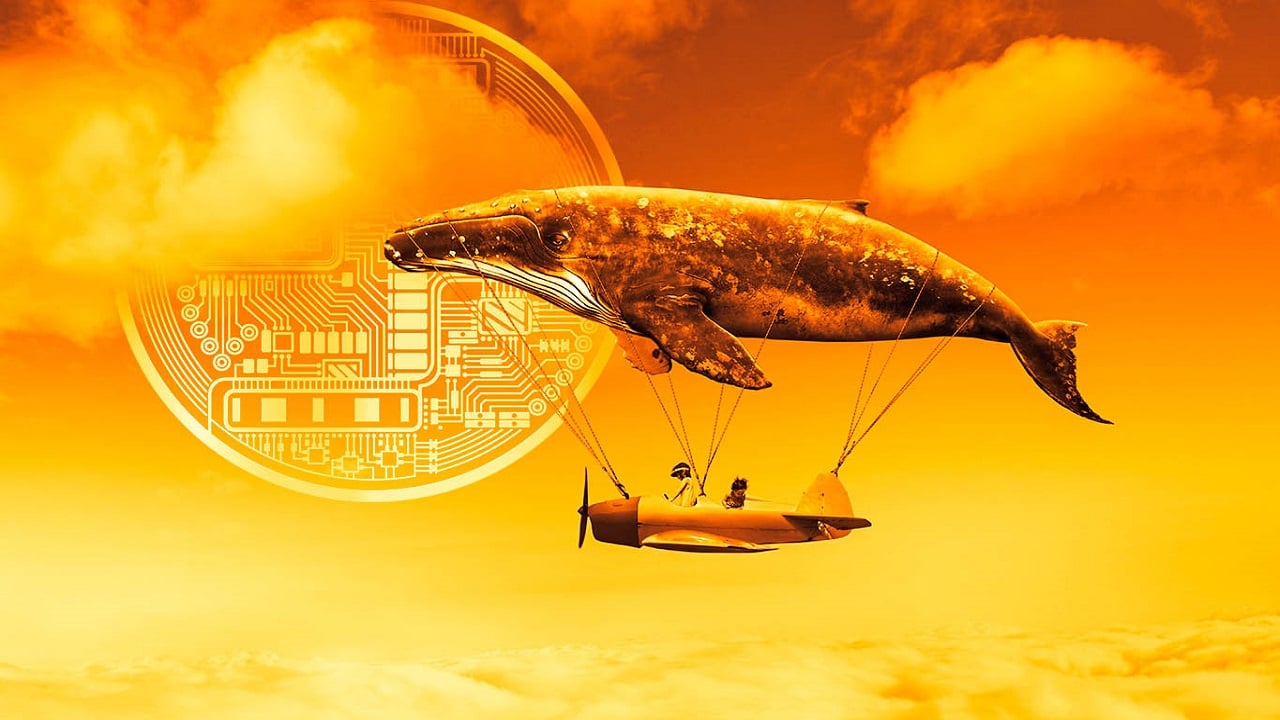 Apecoin در مرکز توجه نهنگ‌های اتریوم