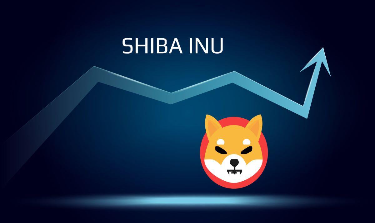 حرکت بعدی شیبا اینو چیست؟