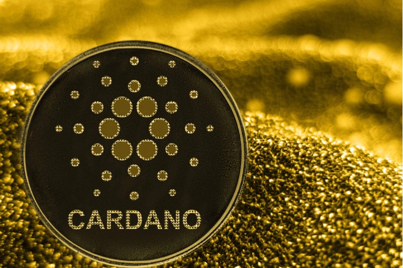 قیمت کاردانو 10 درصد کاهش یافت