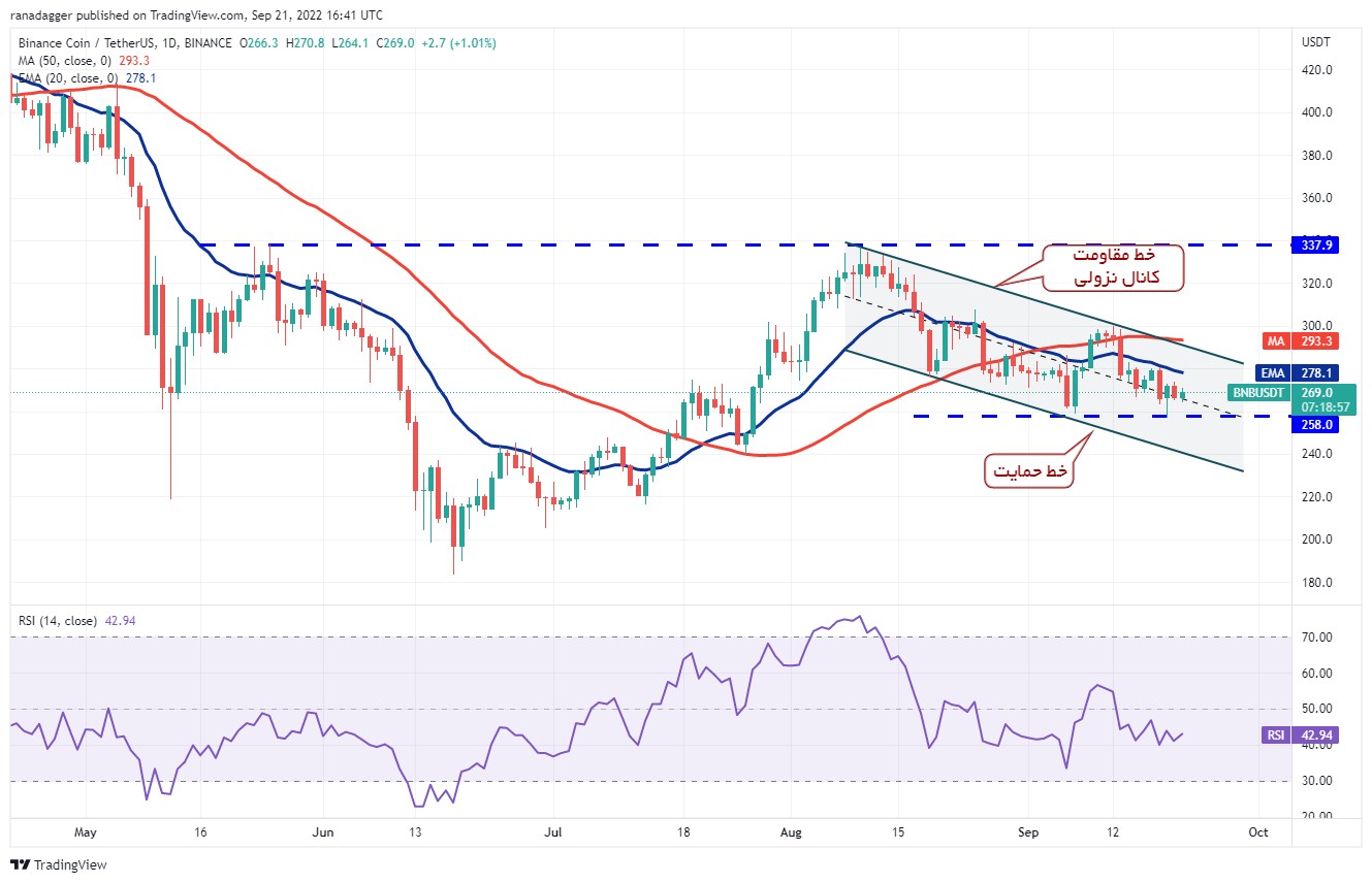 نمودار قیمت بایننس کوین در روز گذشته