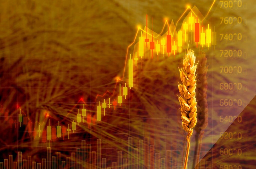 قیمت گندم