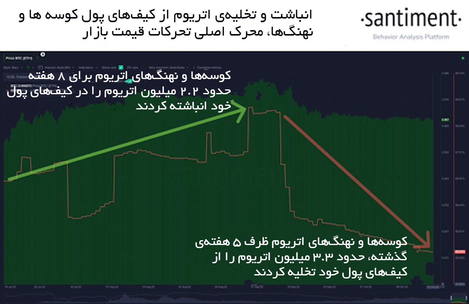 فعالیت کوسه ها و نهنگ های اتریوم