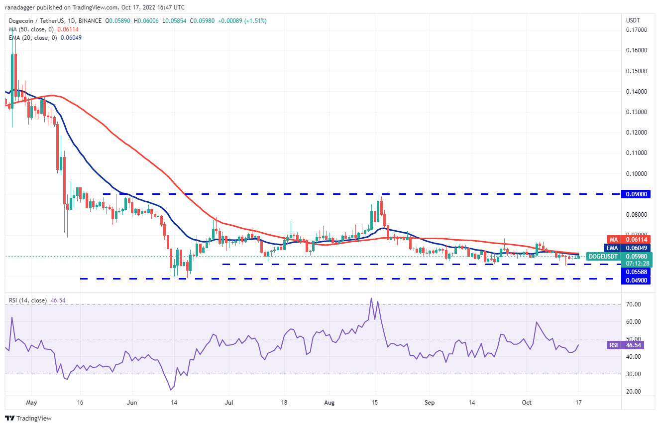 نمودار قیمت دوج کوین