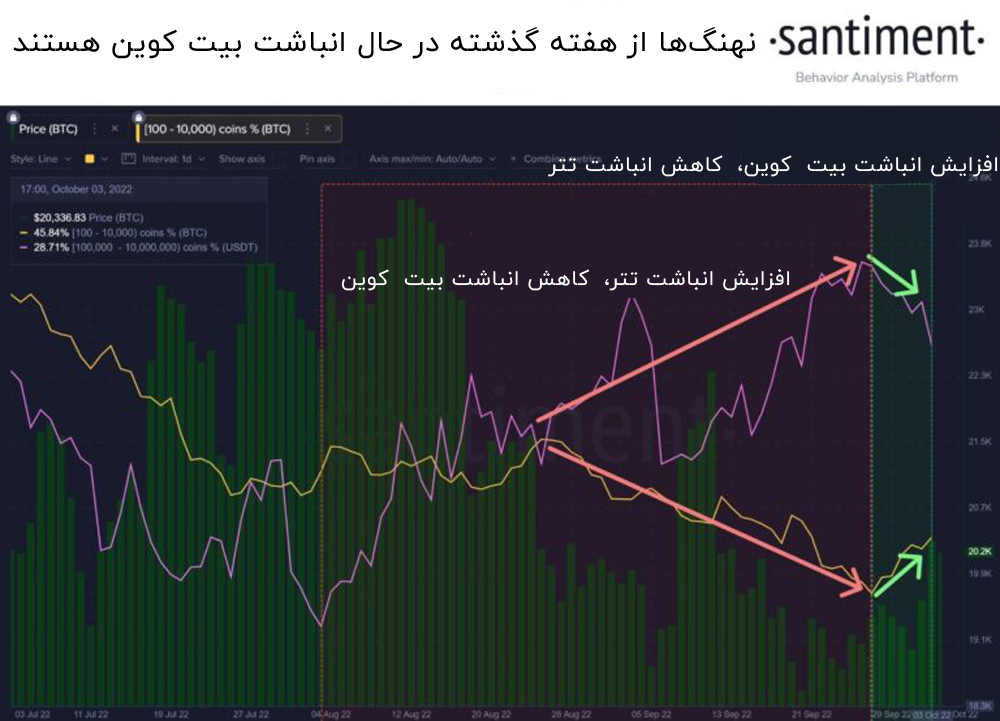 انباشت بیت کوین توسط نهنگها