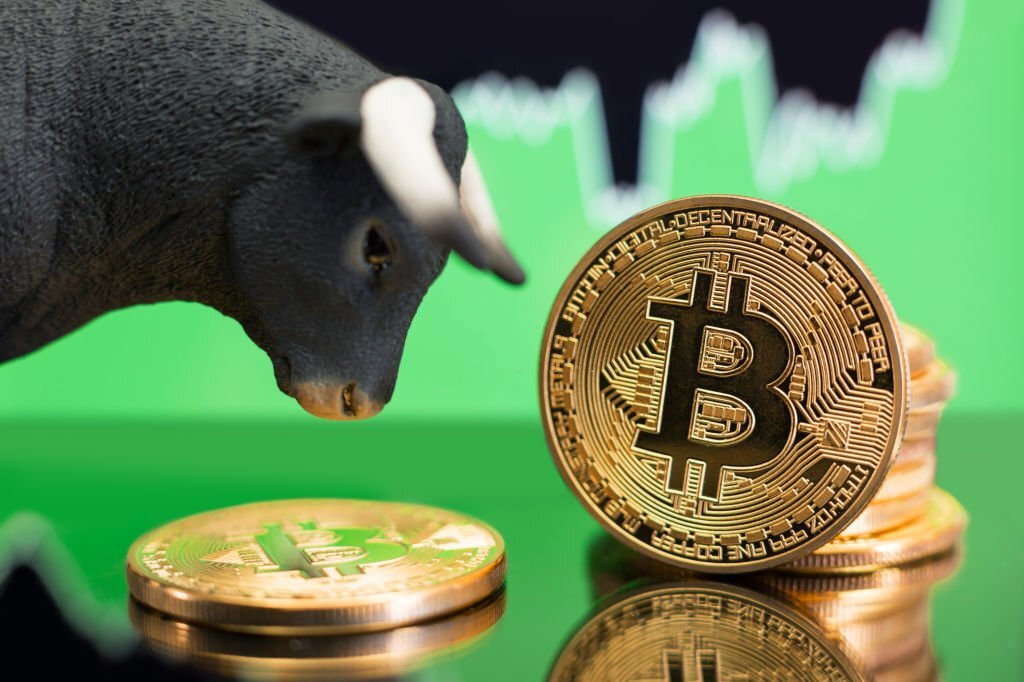 بیت کوین و گاوهای
