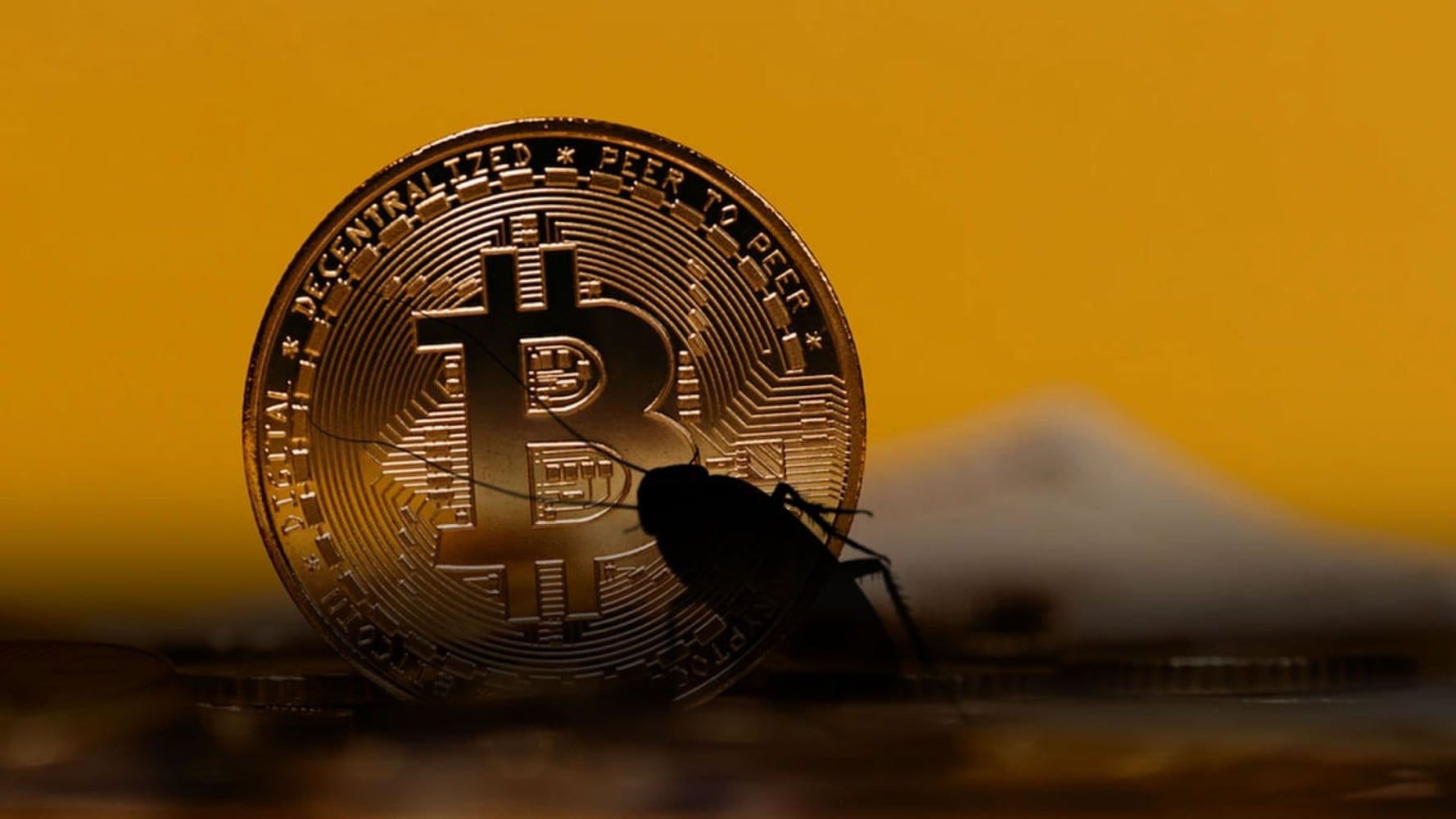 بیت کوین مانند سوسک است!