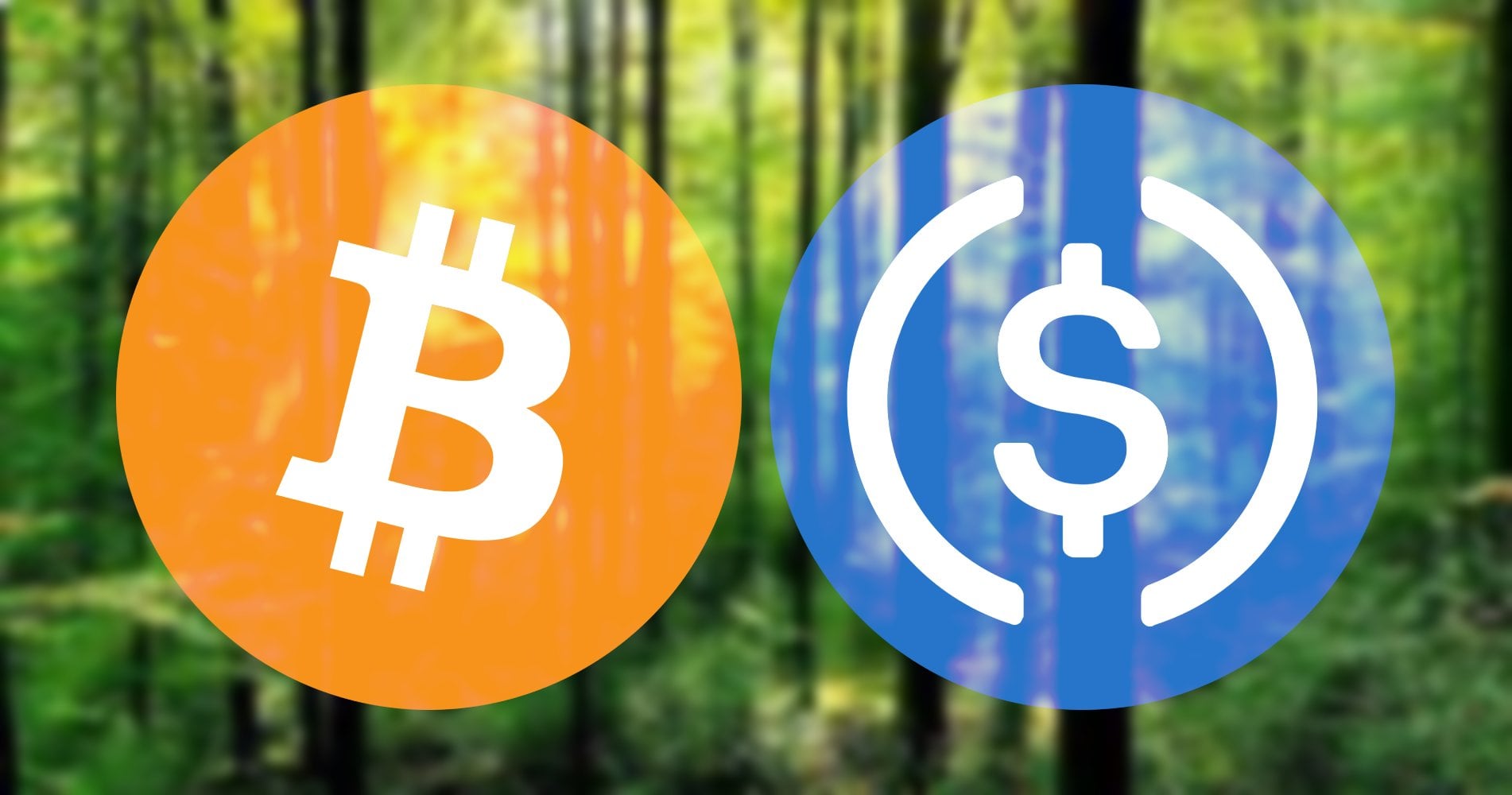 بهبود وضعیت بیتکوین و یواسدیکوین
