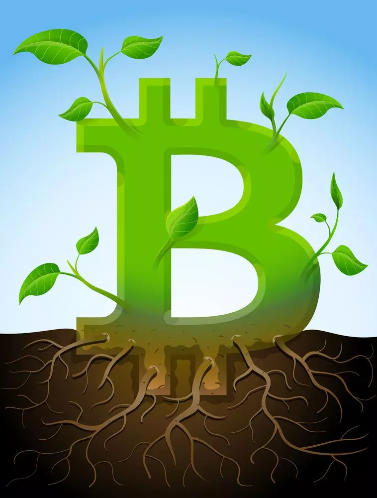 بیتکوین، همچنان در مسیر سبز