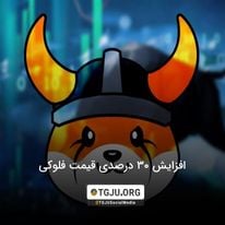افزایش 30 درصدی قیمت فلوکی