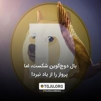 بال دوجکوین شکست، اما پرواز را از یاد نبرد!
