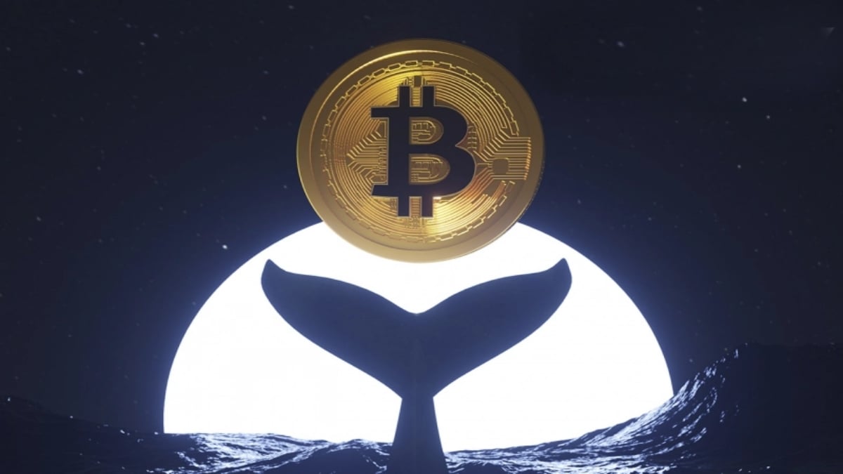 فعالیت شدید نهنگها در بازار بیتکوین