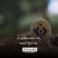 رشد بایننسکوین در روز سرخ کریپتو