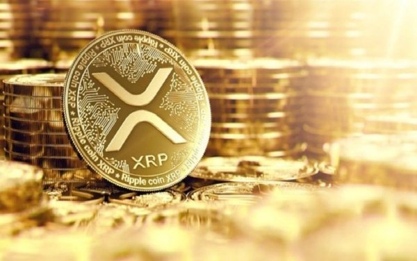 معرفی بهترین کیف پول‌ها برای ریپل