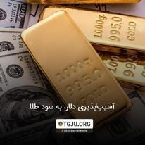 آسیبپذیری دلار، به سود طلا