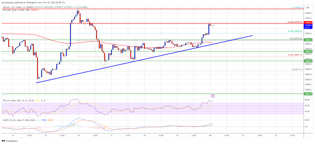 btc