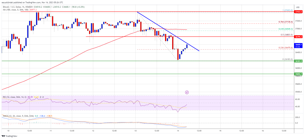 btc