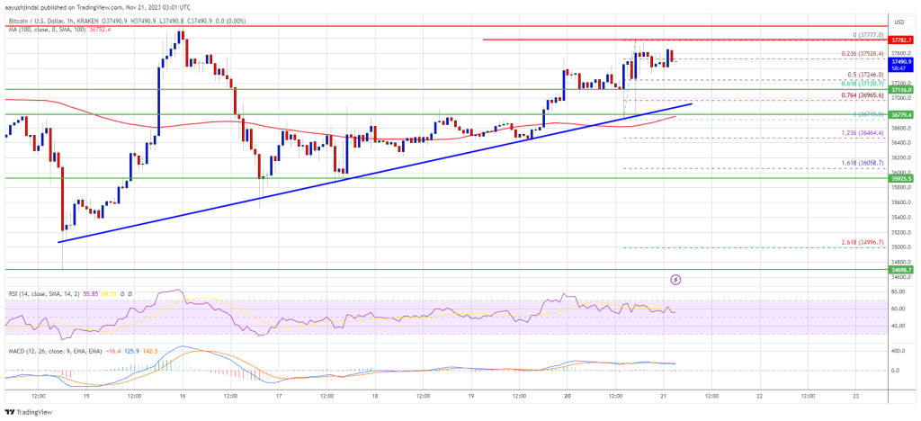 btc