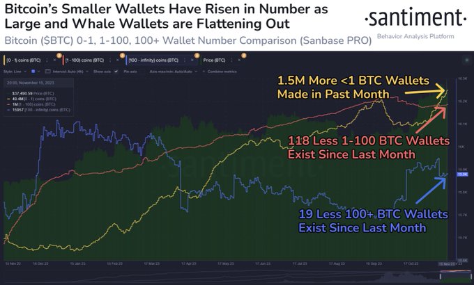 btc