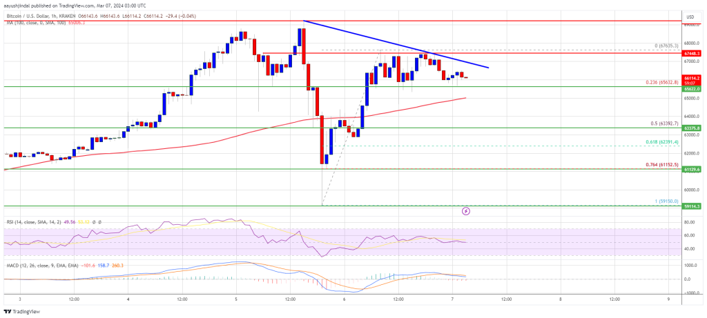 btc