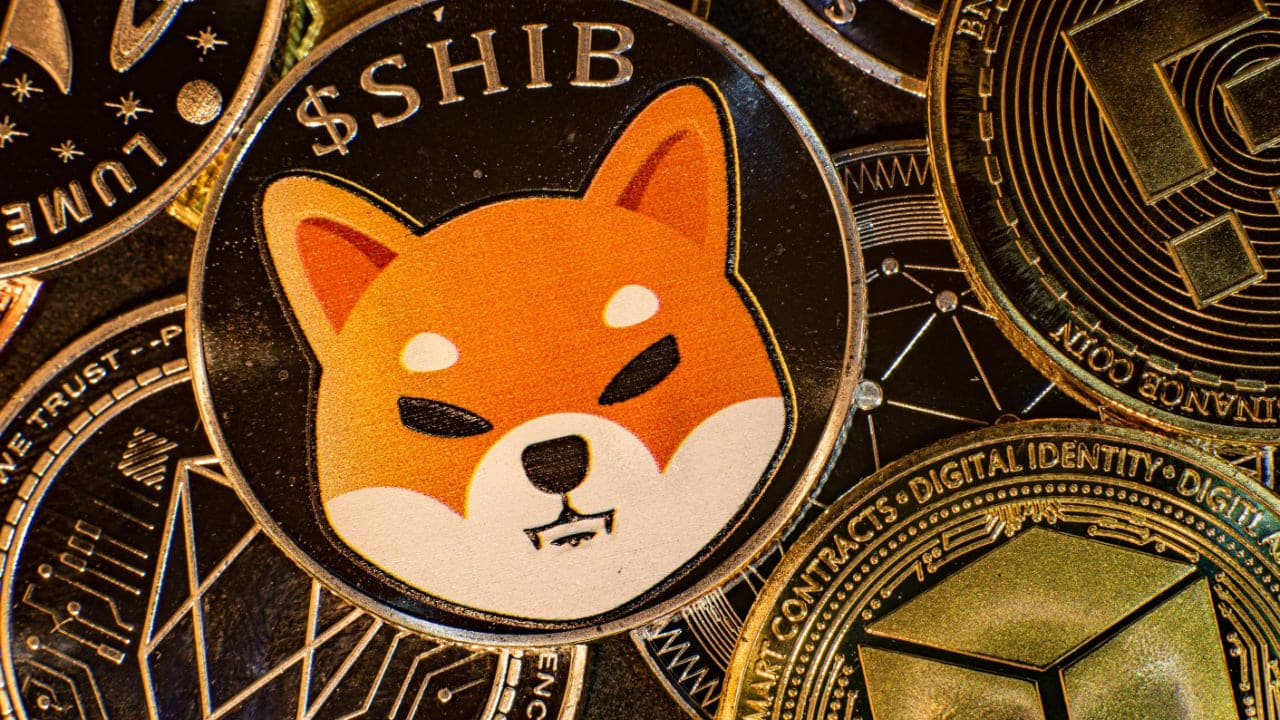 تسخیر اینترنت توسط شیبا اینو
