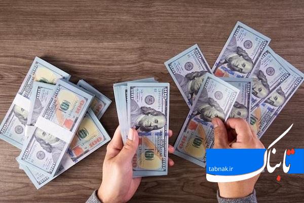 میتوان به دلار دو نرخی رسید/ چگونه قیمت دلار را کاهش دهیم؟