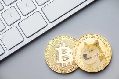 آیا فکر خوبیست که به جای بیت کوین، دوج کوین بخریم؟