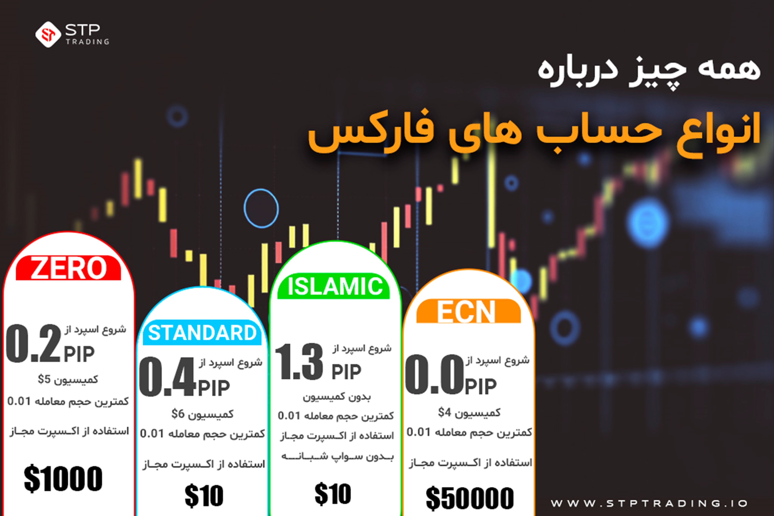 همه چیز درباره انواع حسابهای معاملاتی فارکس: تفاوتها، مزایا و انتخاب بهترین حساب معاملاتی