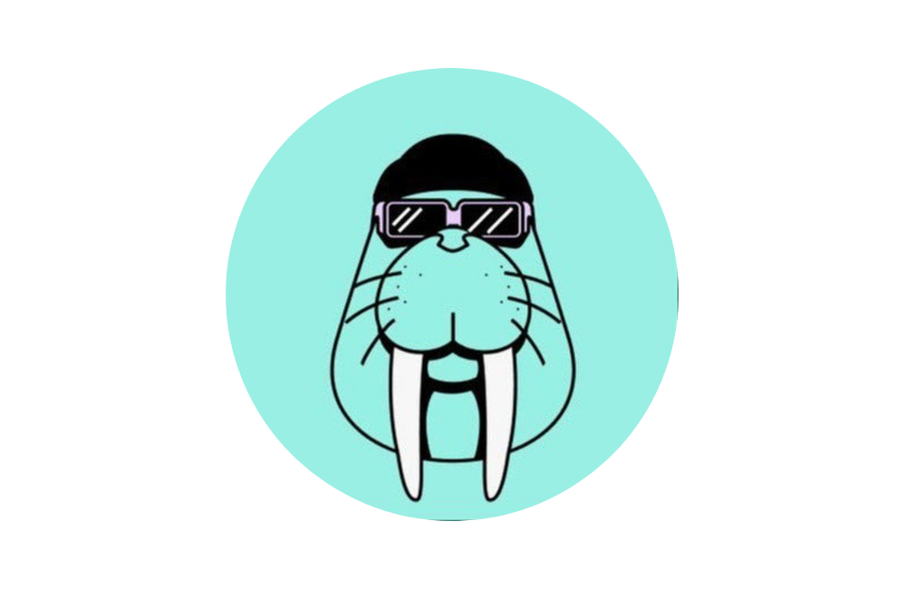 رمزارز: پروتکل والروس (Walrus Protocol)