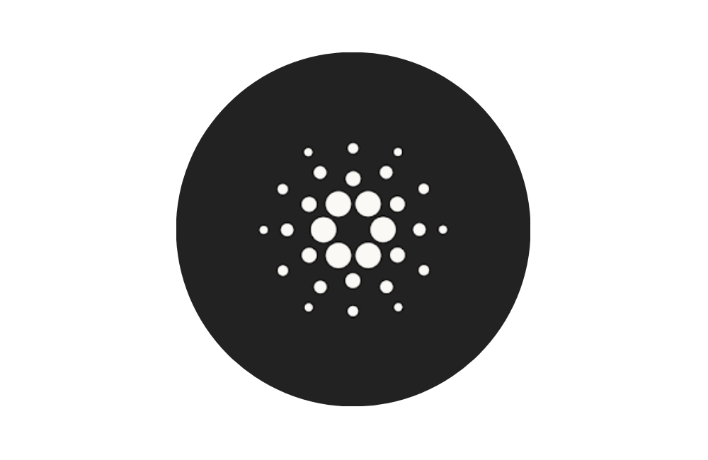 سازمانها: اجلاس کاردانو (Cardano Summit)