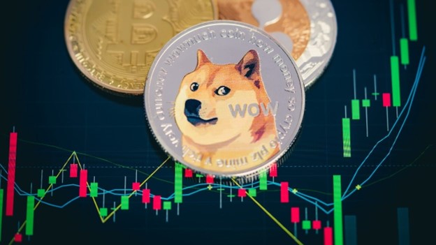 بررسی عملکرد دوج کوین در برابر سایر میم کوین‌ها در سال ۲۰۲۵