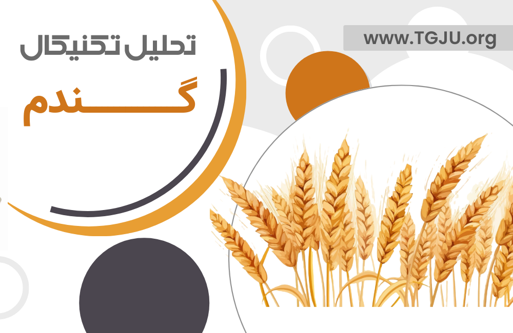 افزایش ذخایر گندم استرالیا و کاهش صادرات به چین