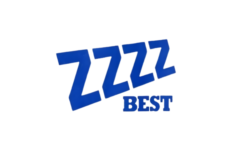 ZZZZ Best چیست؟