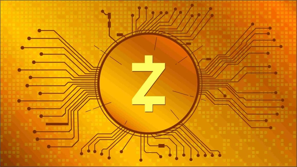 زی‌کش چیست؟