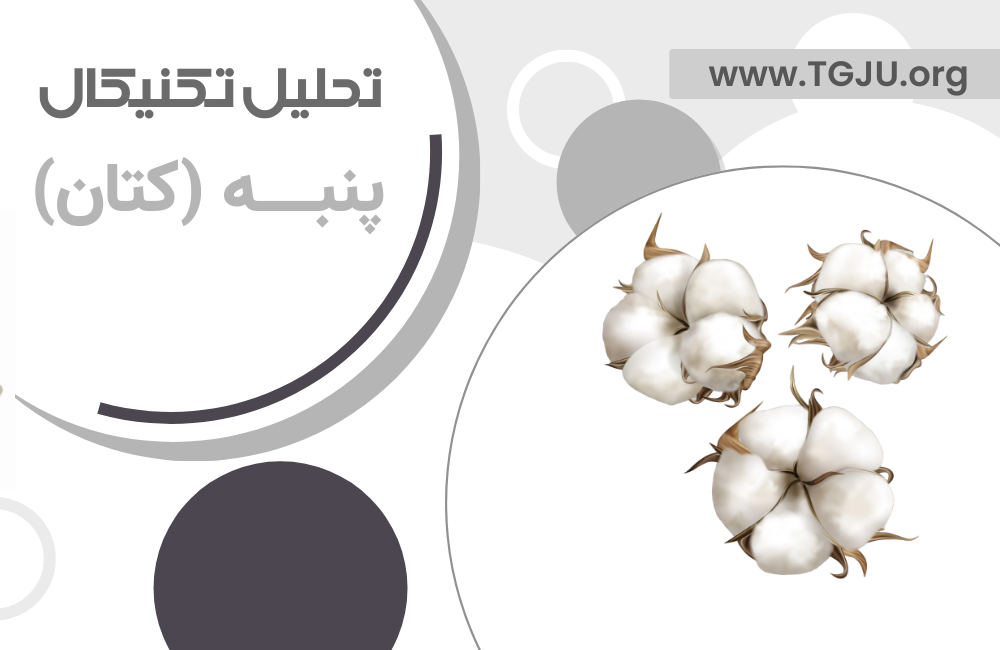 بازار پنبه: نوسانات محدود در سایه عوامل بنیادی