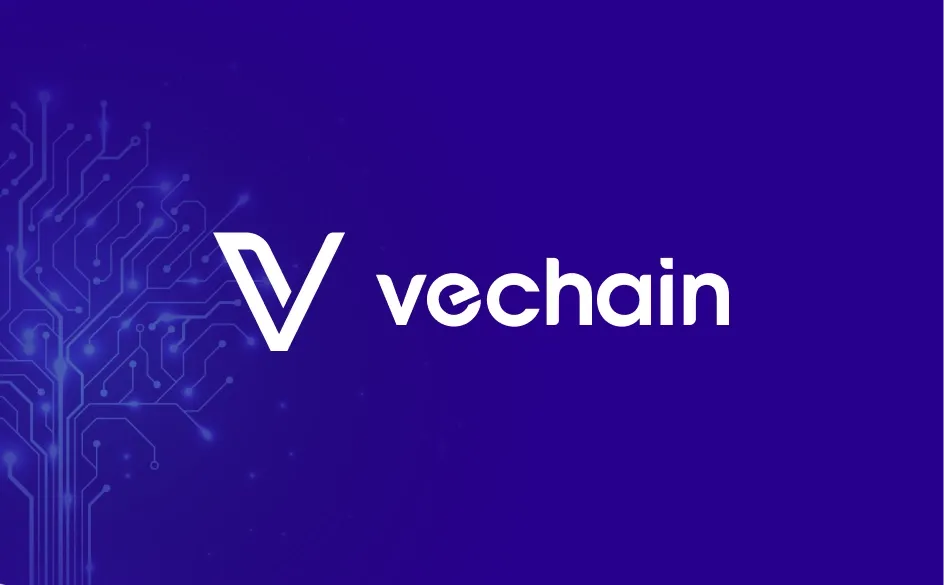 وی‌چین چیست؟