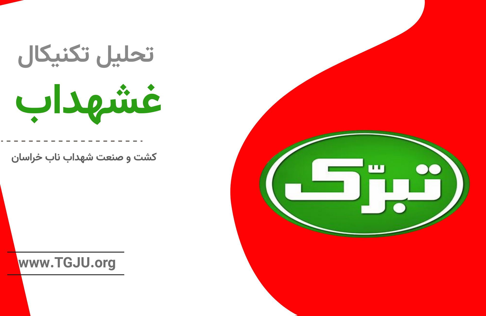 غشهداب در مسیر صعود: نگاه دقیق به روند بلندمدت