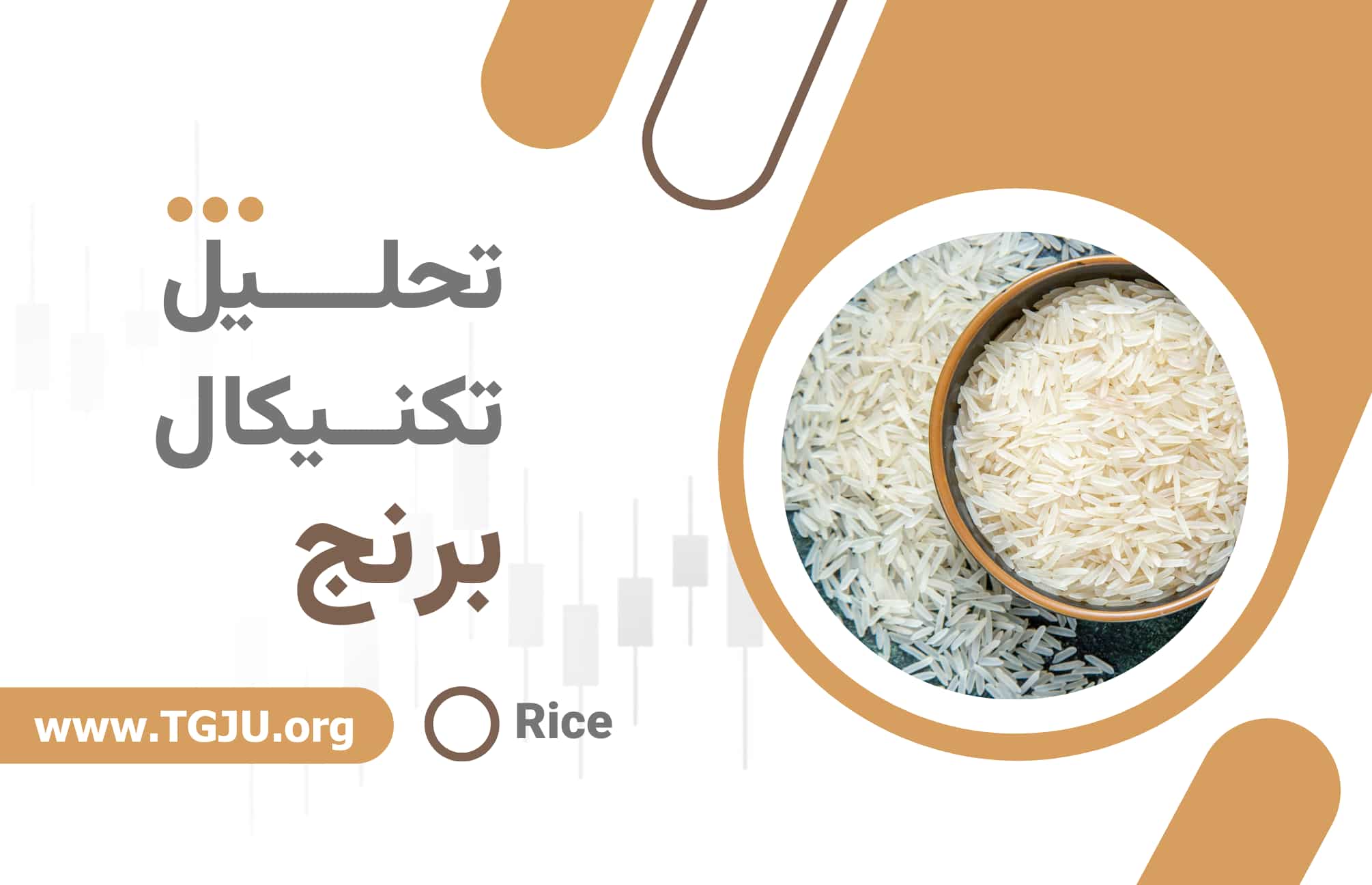 سقوط تاریخی قیمت برنج؛ بازار زیر بار عرضه