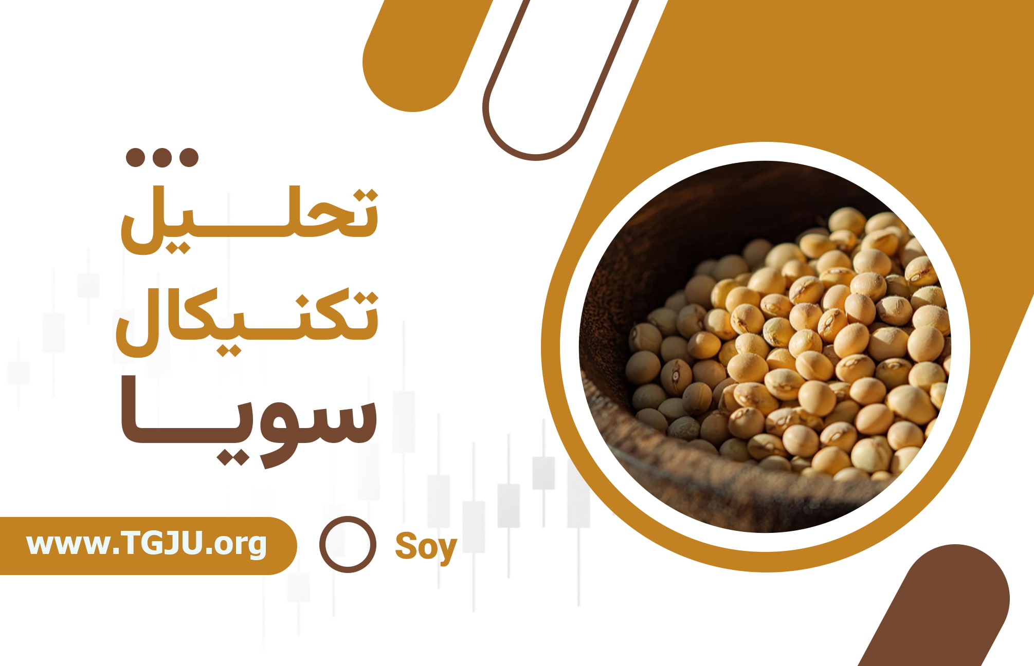 فشار فروش در سویا؛ فرصت یا هشدار؟