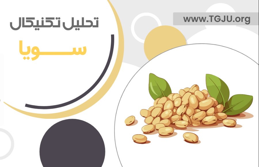 راز نوسانهای سویا: از برزیل تا چین، چه آیندهای در پیش است؟