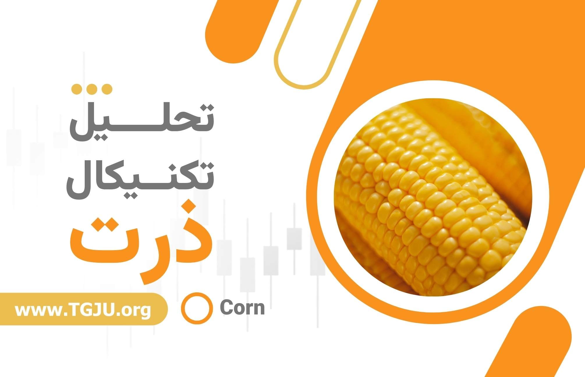 بازار ذرت در انتظار گزارش‌های سرنوشت‌ساز USDA