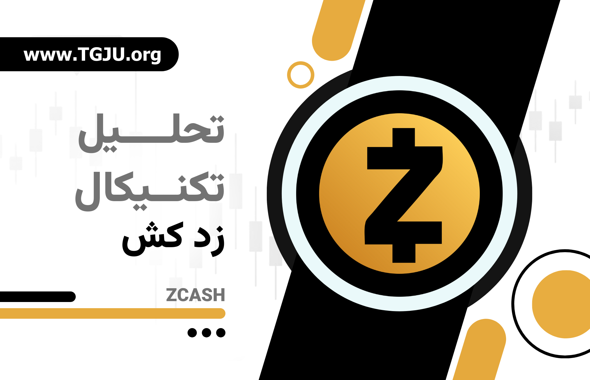 ZEC در مسیر طلوع: حریم خصوصی و رشد قیمت