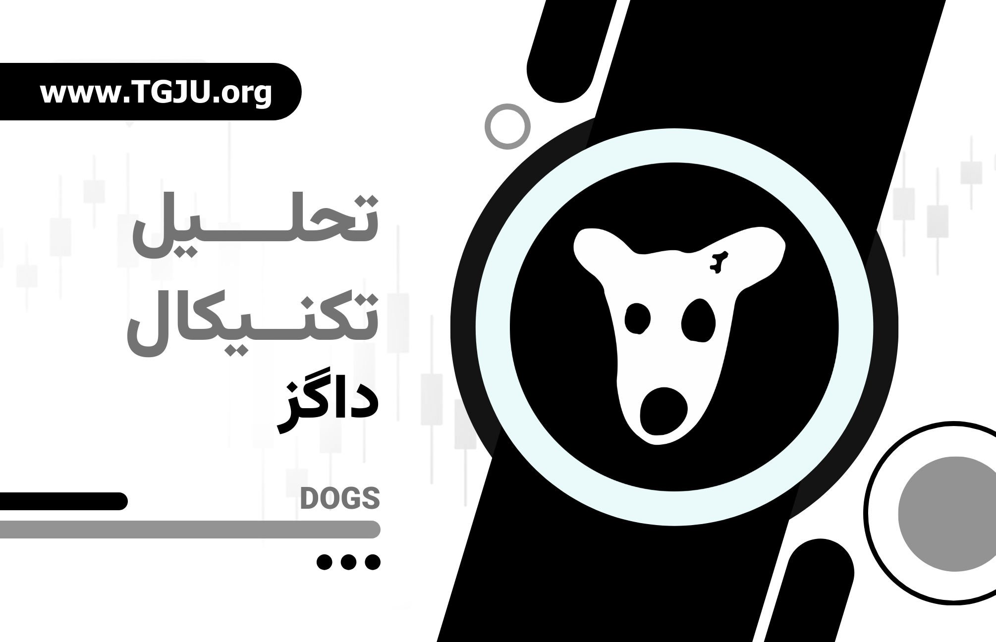 DOGS و چرخه‌های هیجان؛ نکات مهم برای سرمایه‌گذاران خرد