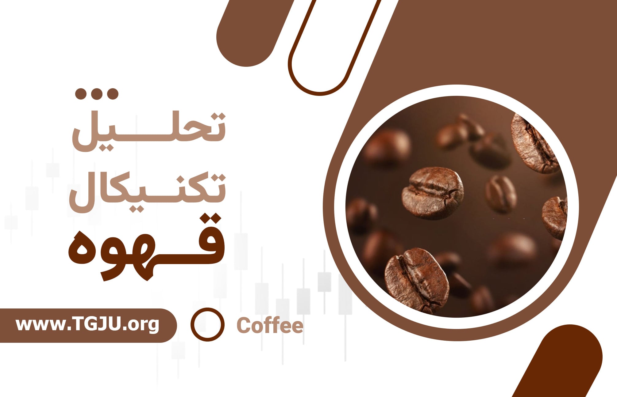 بازار قهوه زیر فشار فروش؛ نقش برزیل و ویتنام در ریزش قیمتها
