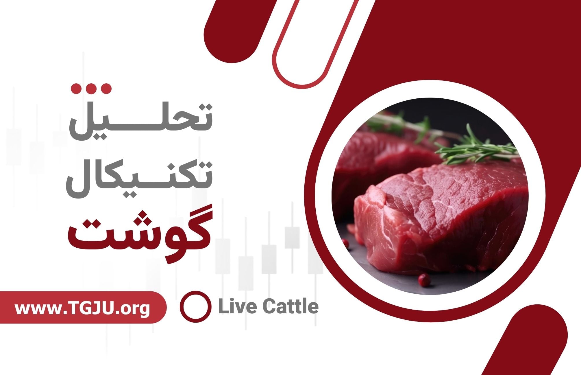 بازار گوشت گاو در آمریکا؛ از موجودی دام تا قیمتهای تاریخی