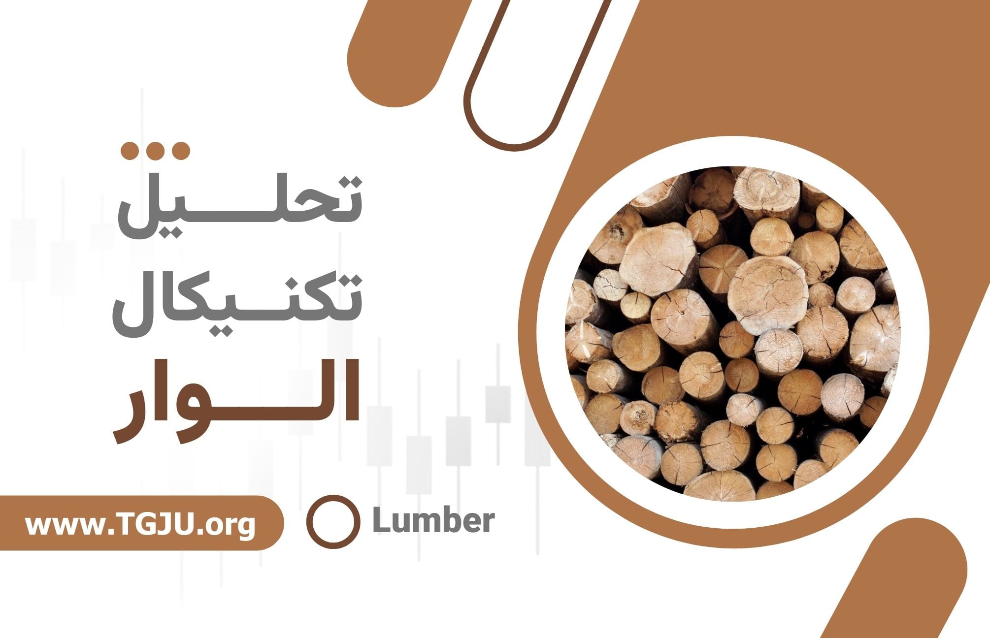 تحلیل رفتار چرخه‌ای بازار چوب در فصل ساخت‌وساز آمریکا