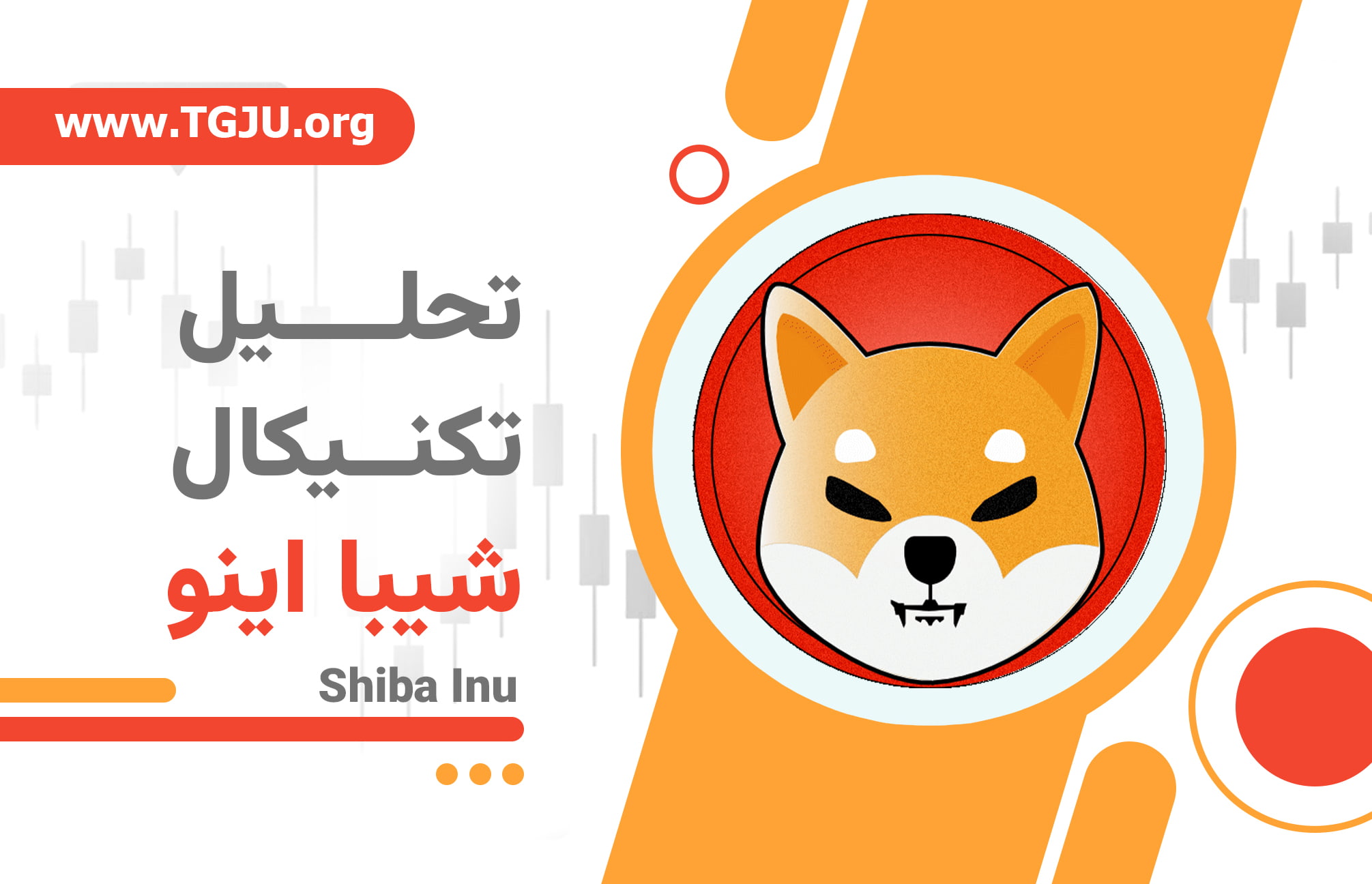 تحلیل رفتار نهنگ‌ها و جریان نقدینگی در بازار شیبا اینو