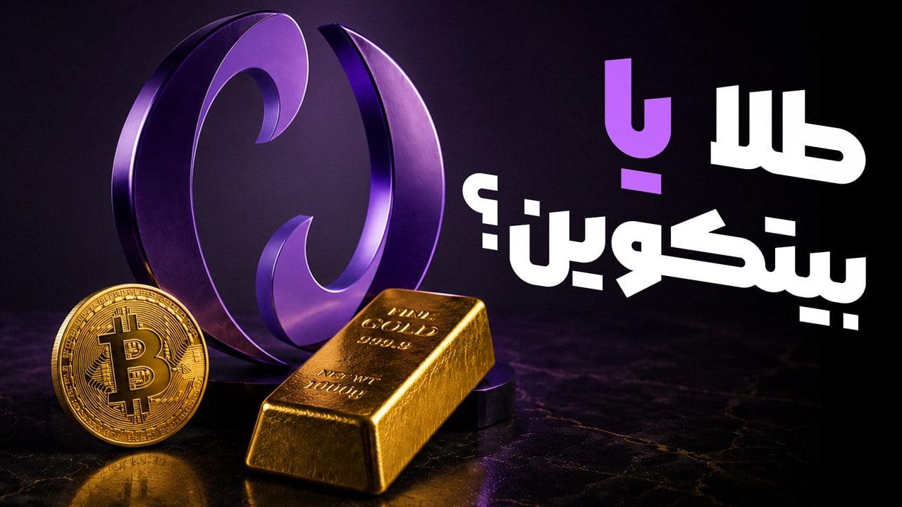 گزارش ویدیوی از رویداد فدرال افکت نوبیتکس