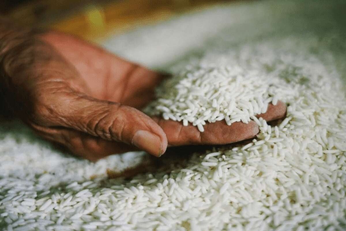 رونمایی از برنج آمریکایی در بازار ایران/مبدا واردات کجاست؟