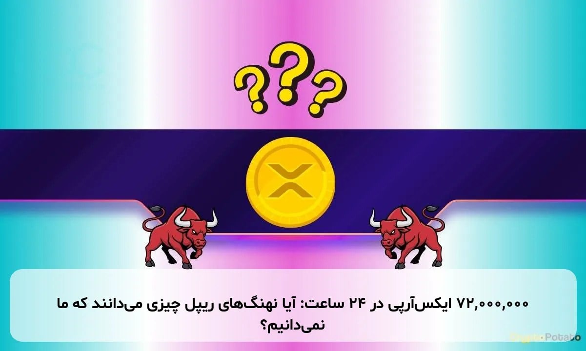 ۷۲,۰۰۰,۰۰۰ ایکسآرپی در ۲۴ ساعت: آیا نهنگهای ریپل چیزی میدانند که ما نمیدانیم؟