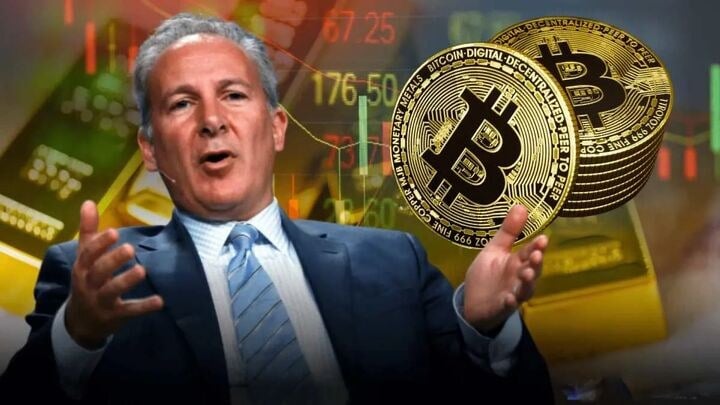 پیتر شیف: رشد اخیر بیت کوین یک فریب است؛ بیت کوین را بفروشید و طلا بخرید!